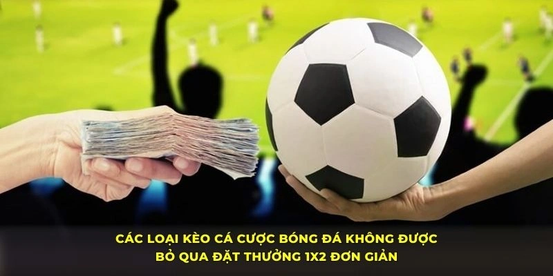 Kèo Châu Á chiếm số lượng phổ biến tại các nhà cái trực tuyến