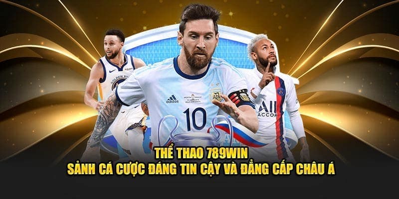 Các nét chính về sảnh thể thao 789WIN Các nét chính về sảnh thể thao 789WIN