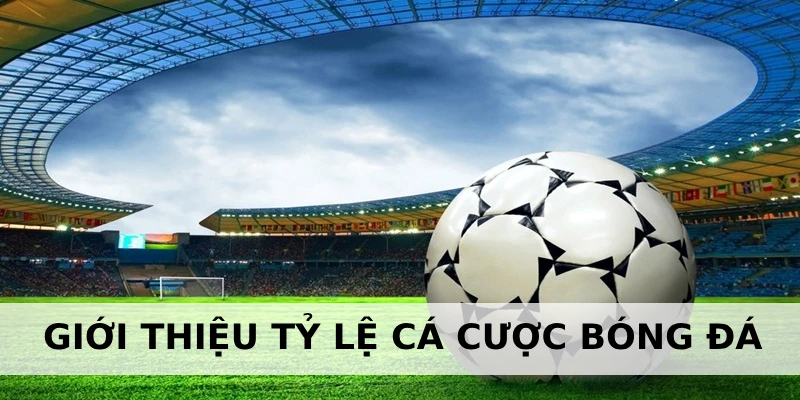 Khái niệm về tỷ lệ cá cược bóng đá ở 789Win Khái niệm về tỷ lệ cá cược bóng đá ở 789Win