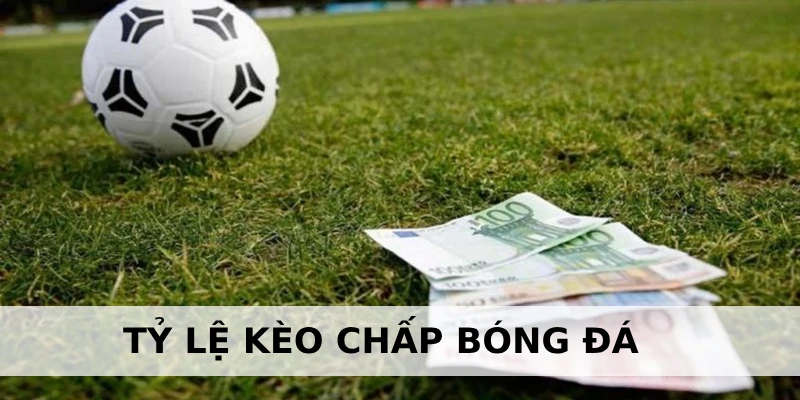 Tỷ lệ kèo chấp xuất hiện ở hầu hết các giải bóng đá Tỷ lệ kèo chấp xuất hiện ở hầu hết các giải bóng đá