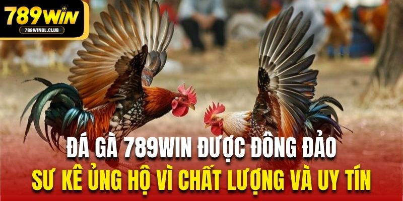 Đá gà 789Win được đông đảo sư kê ủng hộ vì chất lượng và uy tín