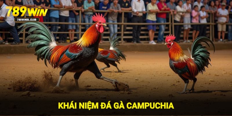 Khái niệm đá gà Campuchia