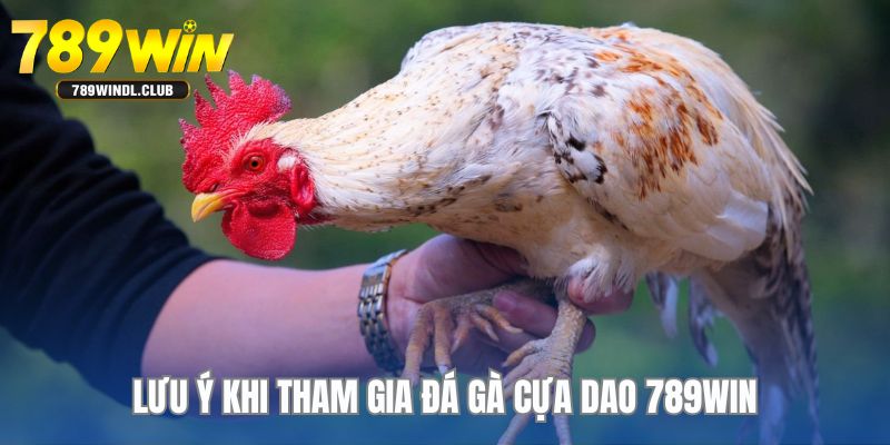 Bỏ túi các lưu ý để tham gia đá gà cựa dao 