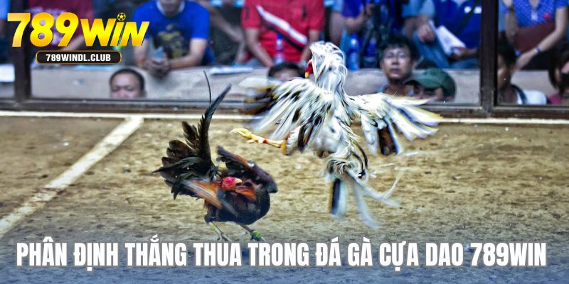 Cách phân định thắng thua trong một trận đá gà cựa dao tại nhà cái 789WIN